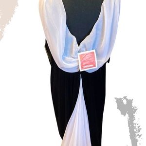 Black Velvet Formal Full length gown with white chiffon collar and train